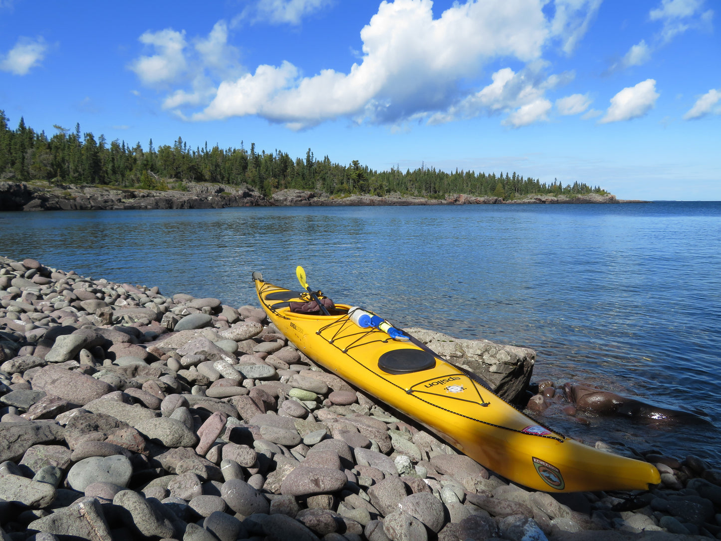 Membership (Individual)