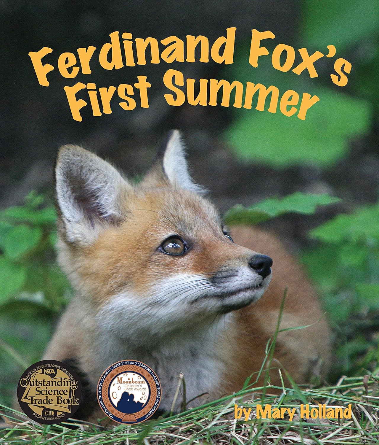 0133 Ferdinand Fox's First Summer