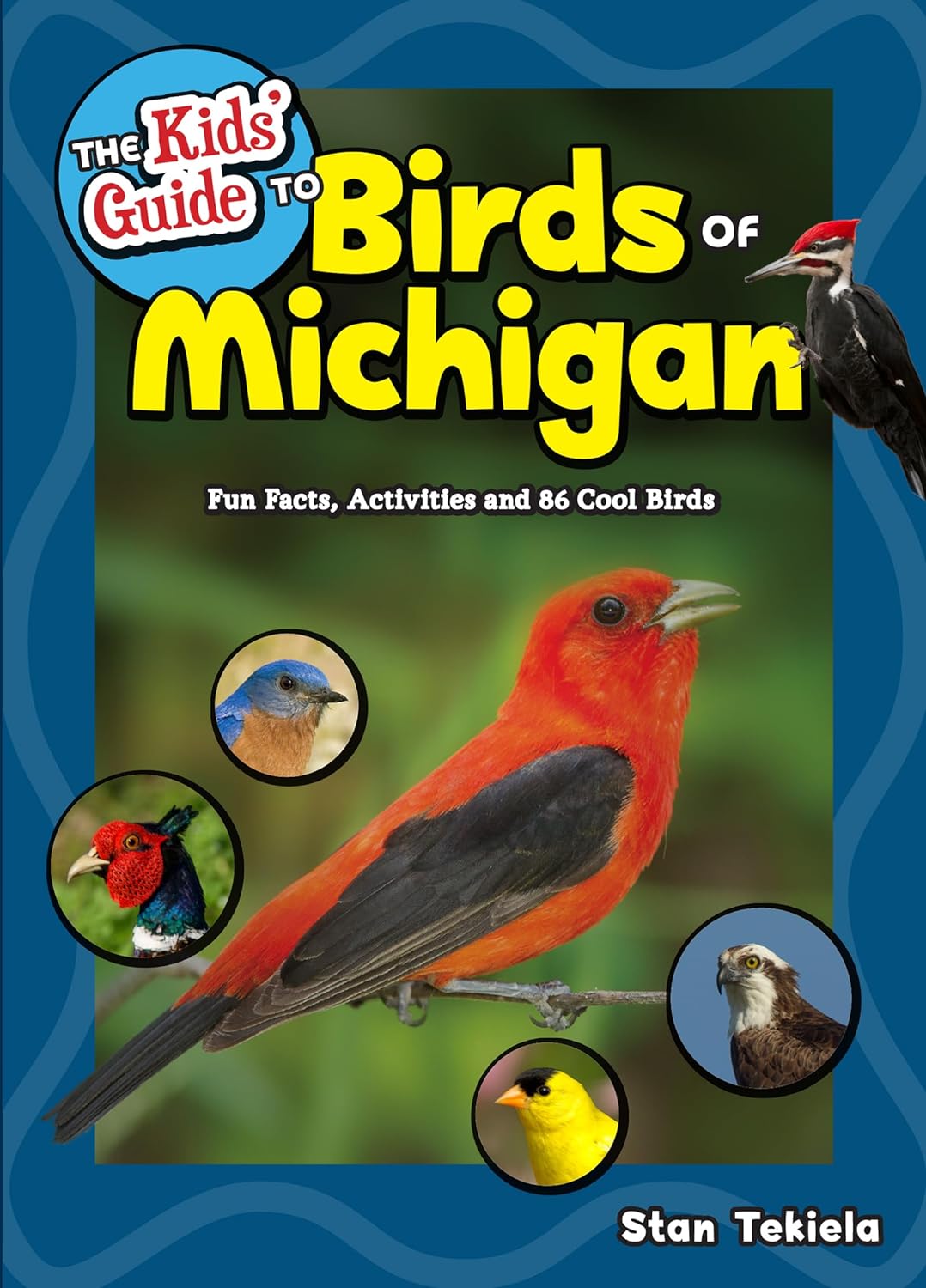 0228 Kid's Guide to Birds of Michigan