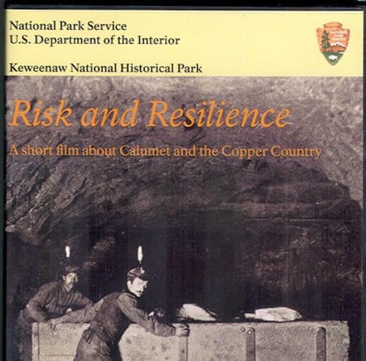 0640 Risk & Resilience DVD