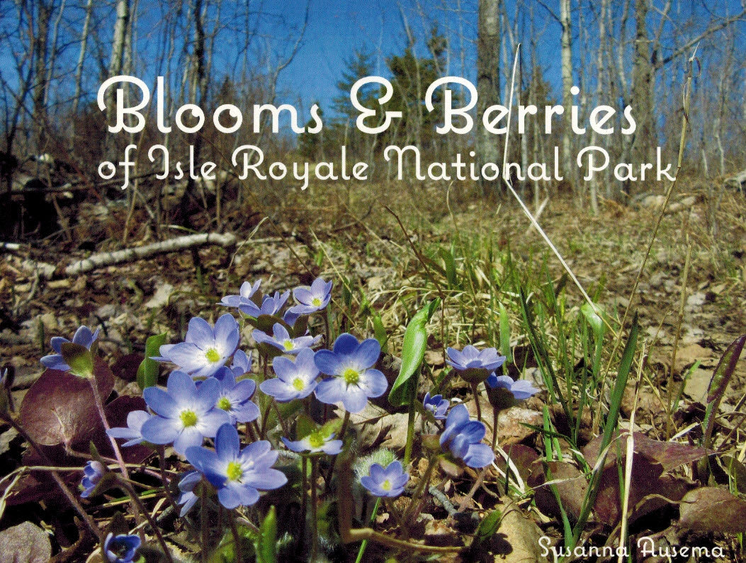 0056 Blooms & Berries of Isle Royale National Park (Paperback)