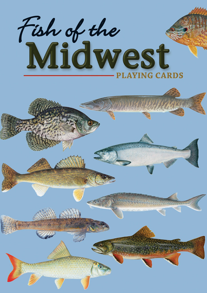 1088 Fish playing cards