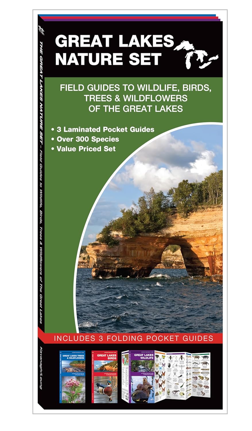 1113 Great Lakes Nature Set Pocket Guides