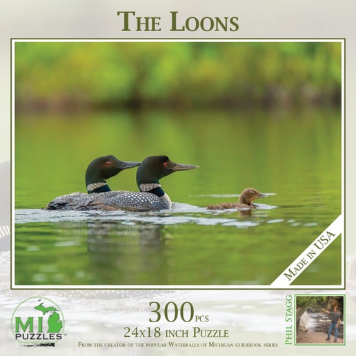 1038 Loon Puzzle