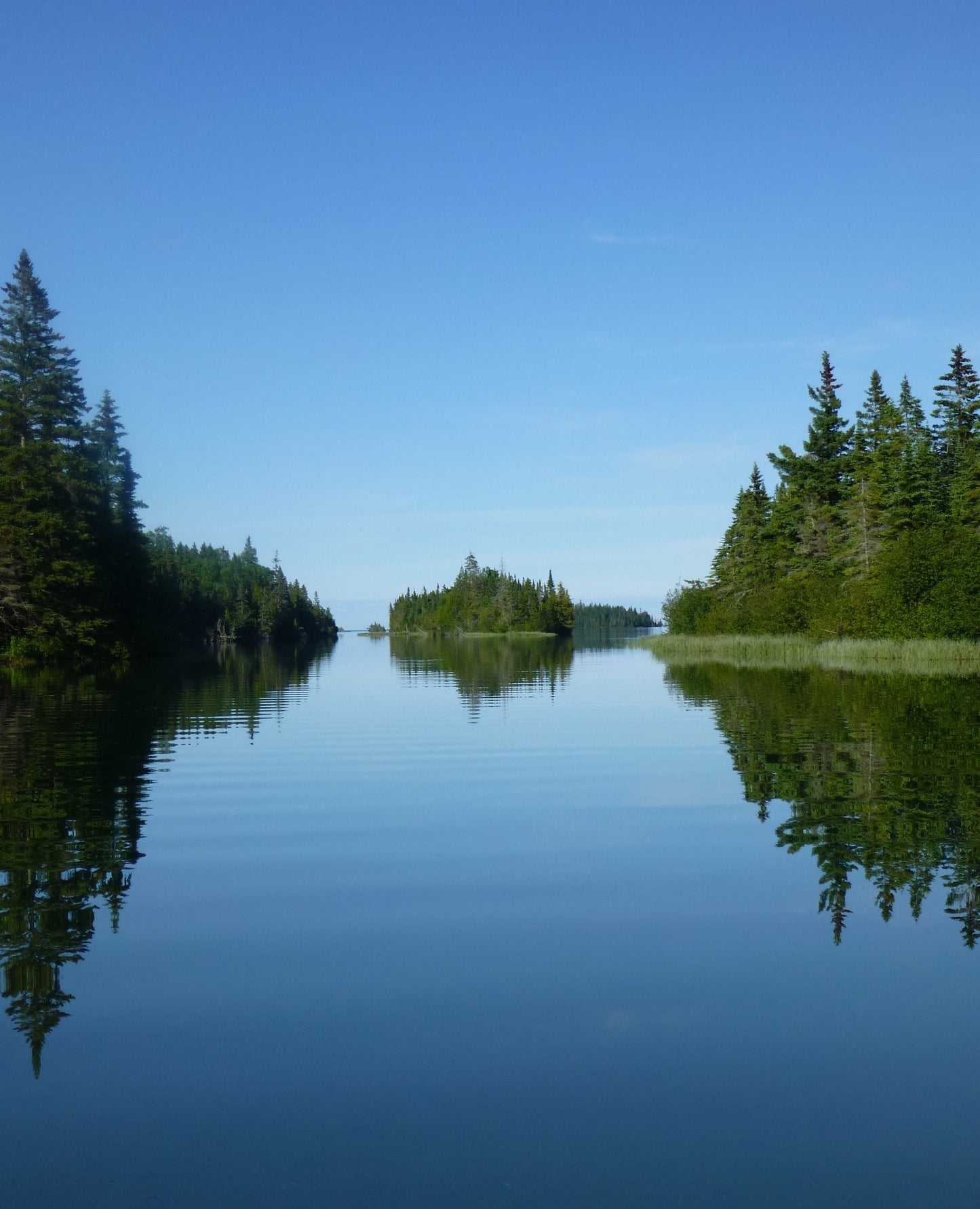 Membership (Supporting Level)