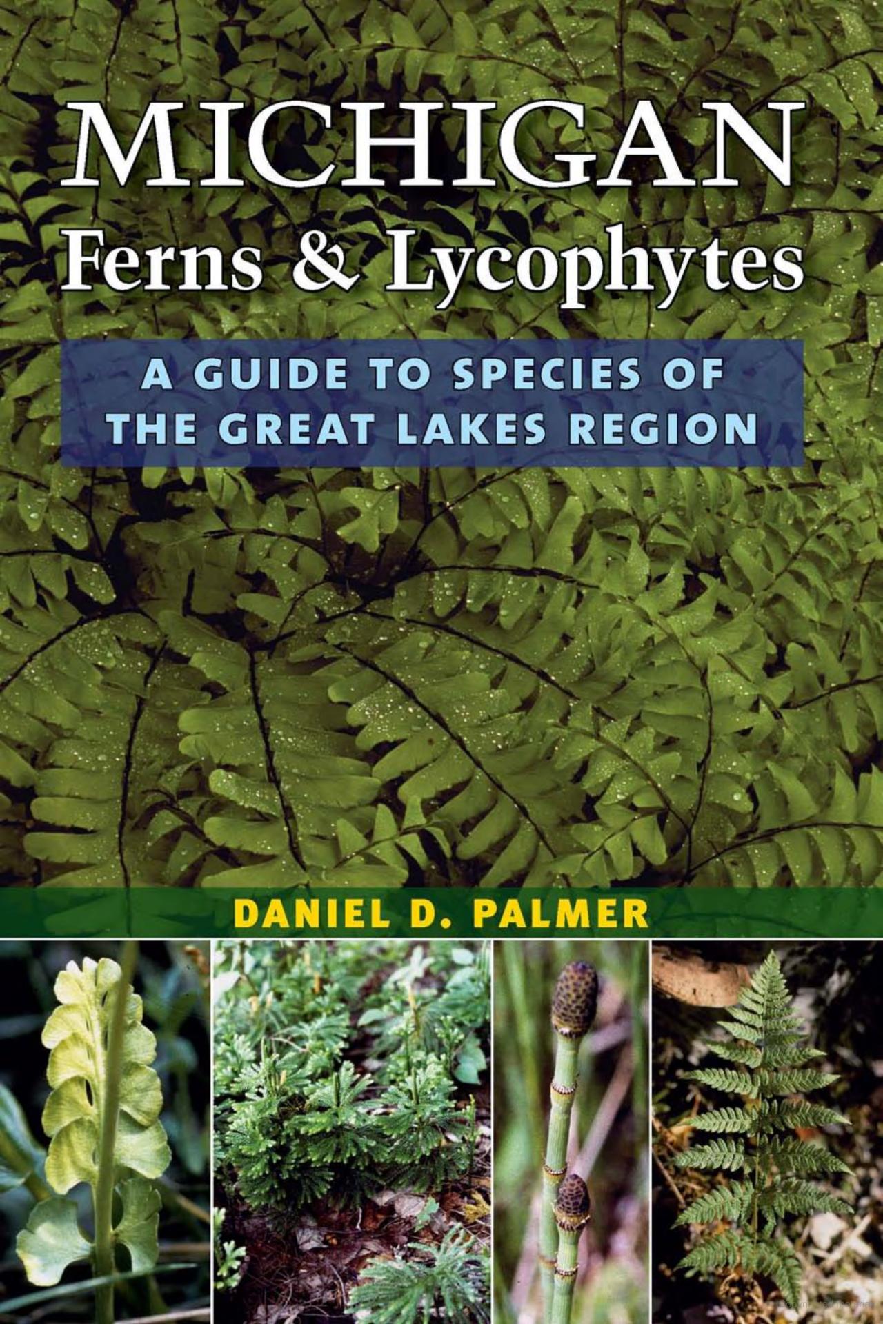 0301 - Michigan ferns and Lycophytes