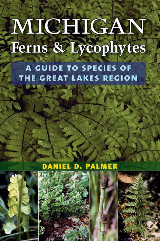 0301 - Michigan ferns and Lycophytes