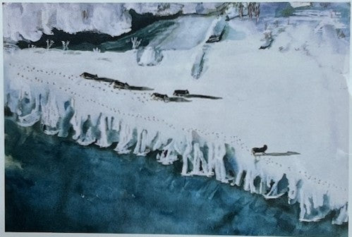 0973 Notecards with Rolf Peterson's artwork