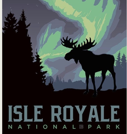 0965NL Moose under the Northern Lights postcard