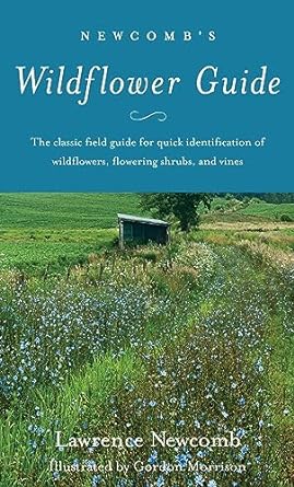 0347 Newcomb's Wildflowers