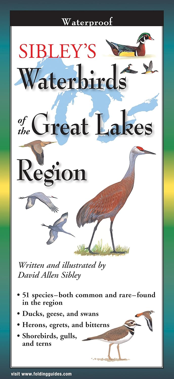 0916 - Sibley's Waterproof Folding Guide Waterbirds of the Great Lakes Region
