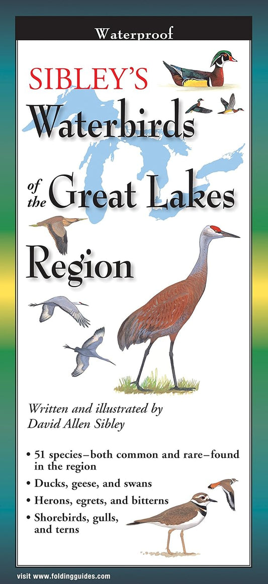 0916 - Sibley's Waterproof Folding Guide Waterbirds of the Great Lakes Region