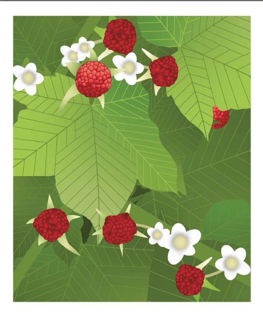 1706 - Isle Royale Thimbleberry Kitchen Cloth