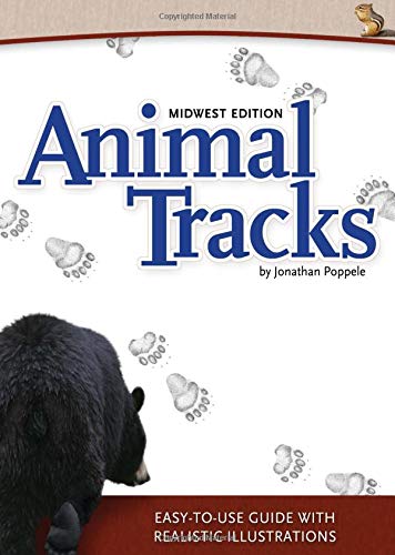 0003 Animal Tracks