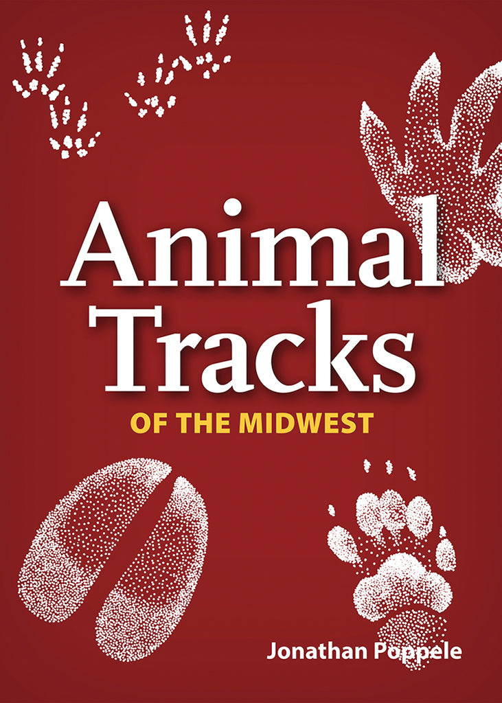 1085 Animal tracks playing cards