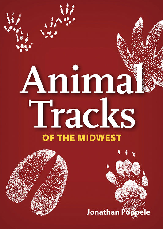 1085 Animal tracks playing cards