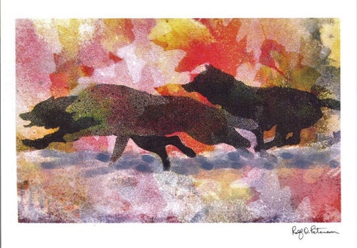 0973 Notecards with Rolf Peterson's artwork