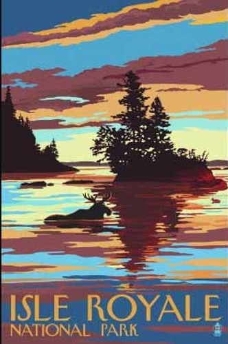 0951 Moose Swimming at Sunset Patch