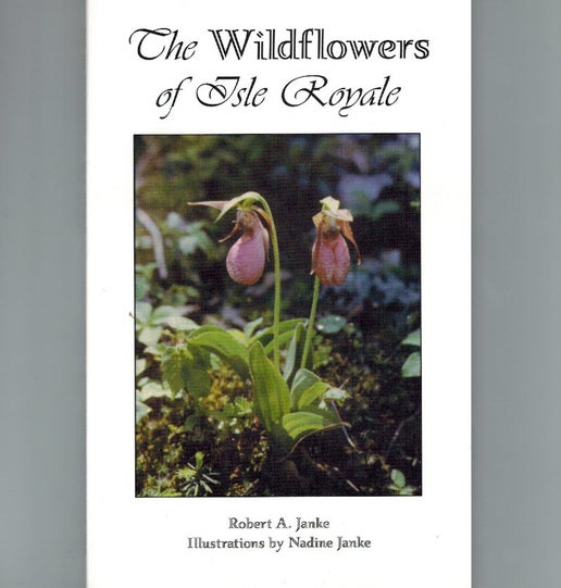 0566 Wildflowers of IR