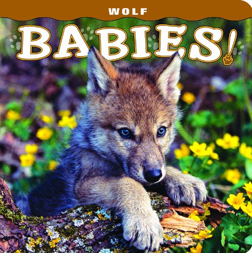 0574 Wolf Babies